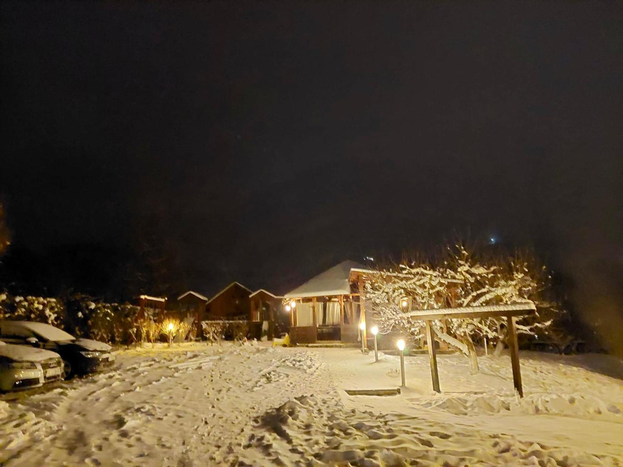 Hotel Casa Preto E Branco Moieciu de Jos Zewnętrze zdjęcie